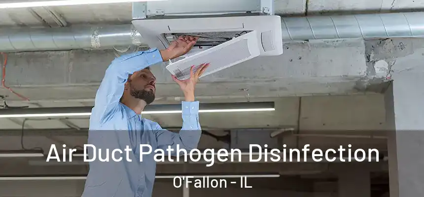  Air Duct Pathogen Disinfection O'Fallon - IL