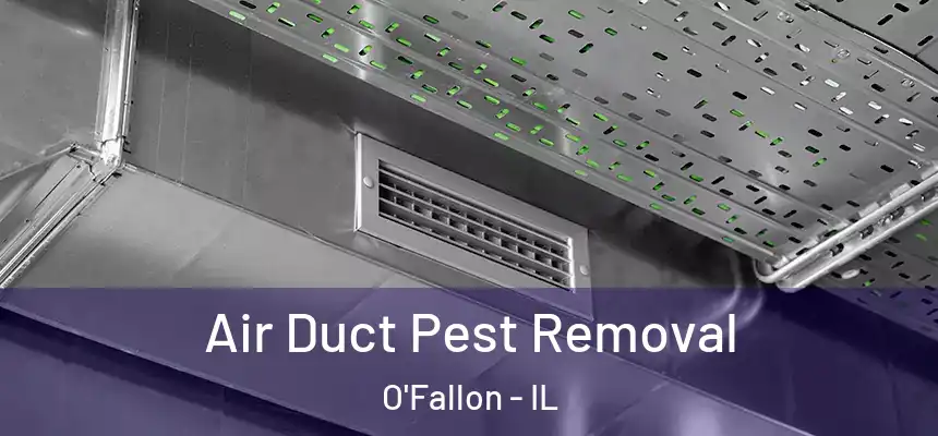 Air Duct Pest Removal O'Fallon - IL