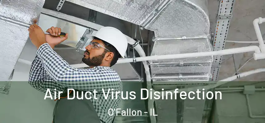  Air Duct Virus Disinfection O'Fallon - IL