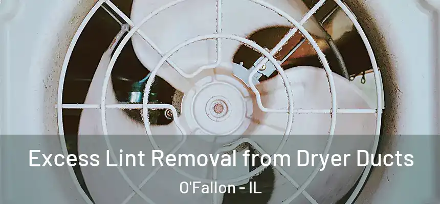  Excess Lint Removal from Dryer Ducts O'Fallon - IL