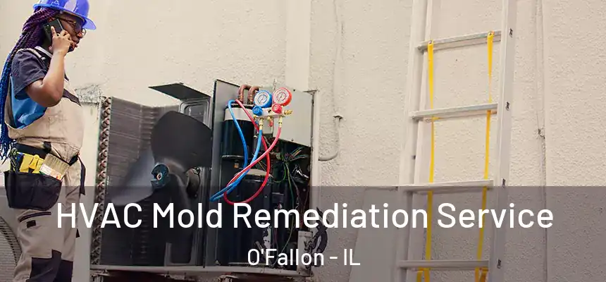  HVAC Mold Remediation Service O'Fallon - IL