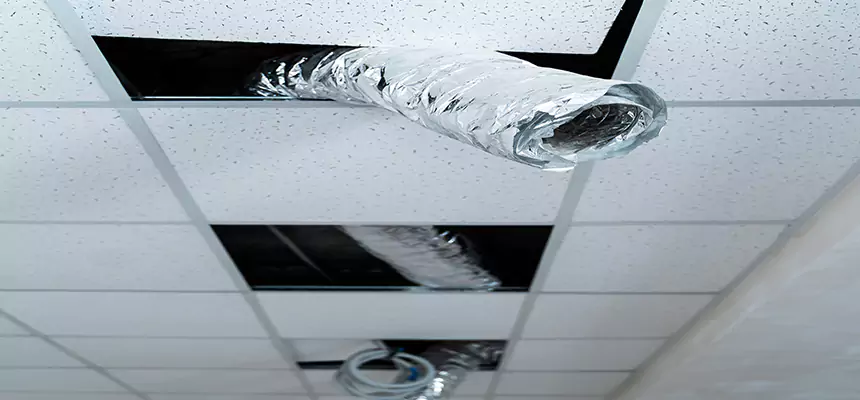 Our Air Duct Pet Hair Removal Services in O'Fallon, IL