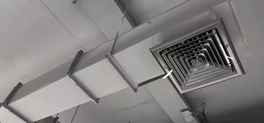 Our Rodent Droppings In Vents Services in O'Fallon, IL