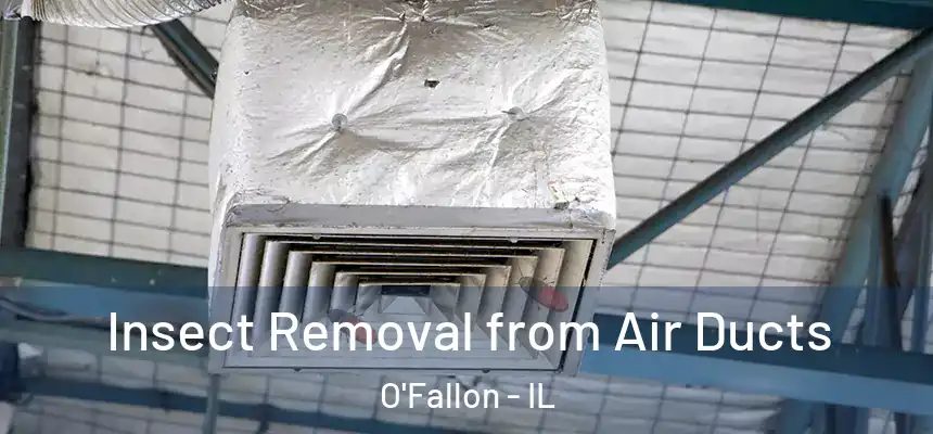 Insect Removal from Air Ducts O'Fallon - IL