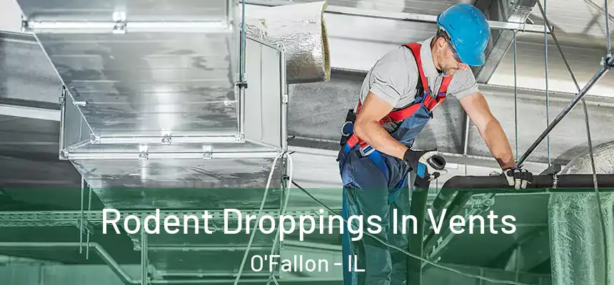 Rodent Droppings In Vents O'Fallon - IL