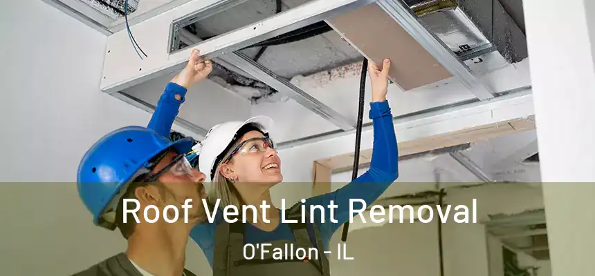  Roof Vent Lint Removal O'Fallon - IL