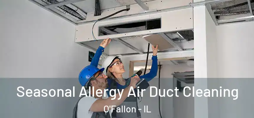  Seasonal Allergy Air Duct Cleaning O'Fallon - IL
