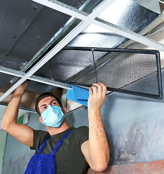 About Air Duct Bacteria Removal in O'Fallon