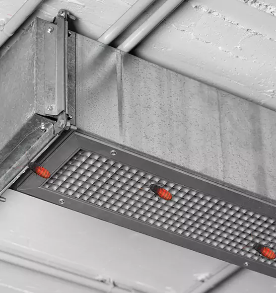 About Air Duct Cockroach Removal in O'Fallon, IL