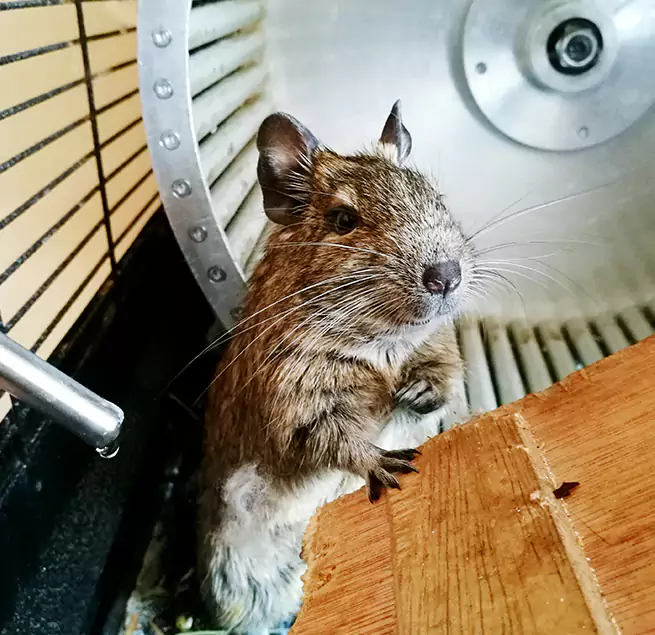 Why Homeowners & Businesses Trust Us O'Fallon, IL