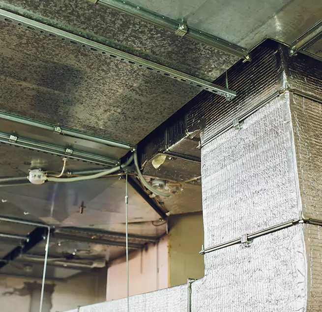 Why Homeowners & Businesses Trust Us in O'Fallon, IL?